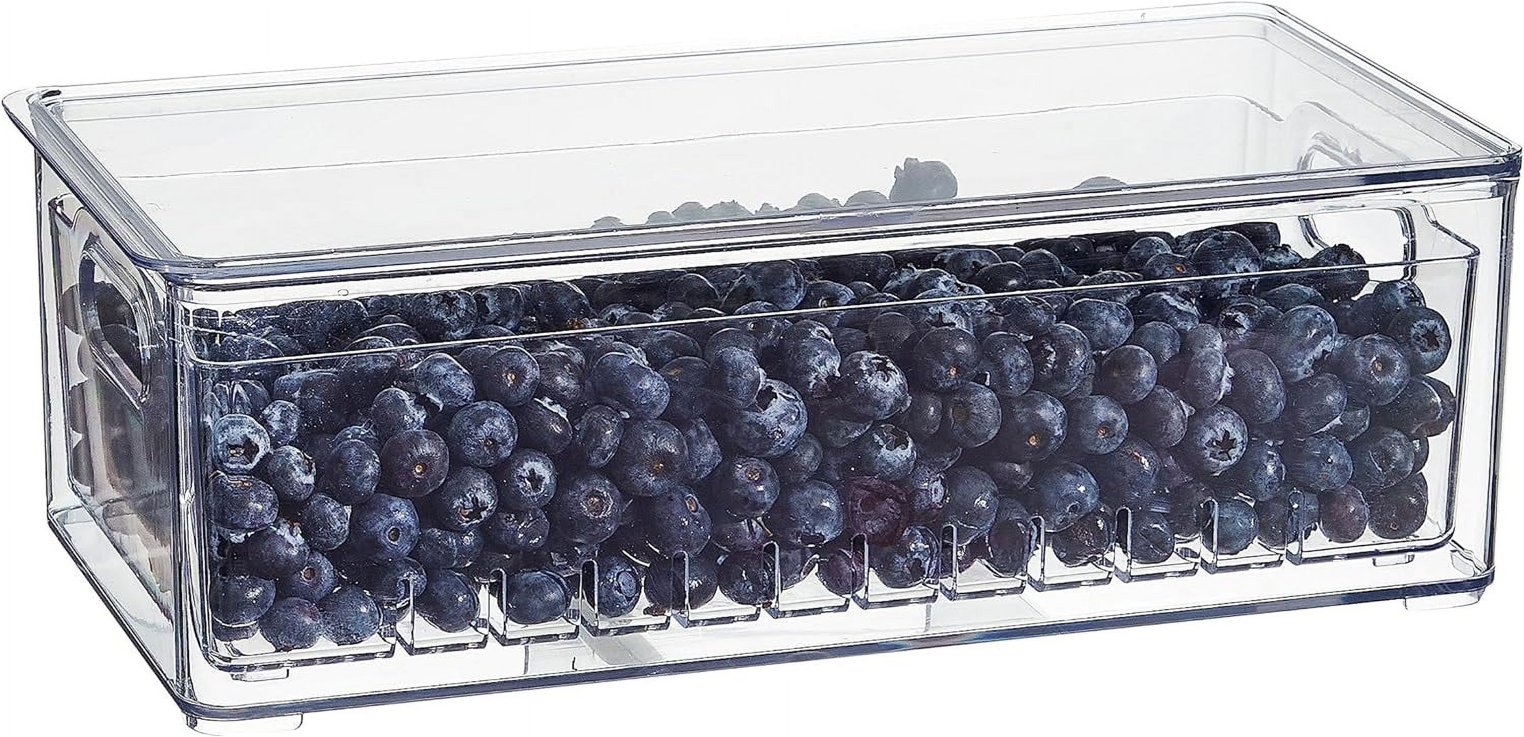 Clear Berry Bins Berry Keeper Container Fruit Produce Saver Food