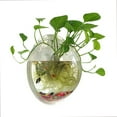Clear Betta Fish Tank Clear Mini Bowls for Beta Fish, 1Gallon