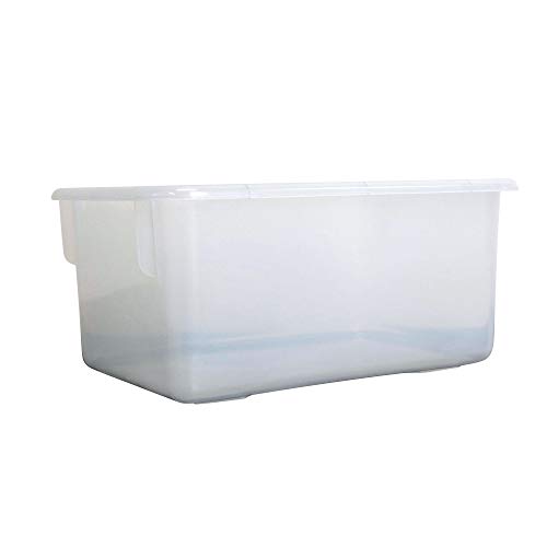 Clear Bin Storage, Small Plastic Bins, Cubby Trays, Classroom
