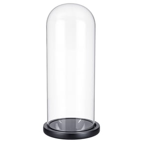 Shop Glass Cloche Domes for Home Decor