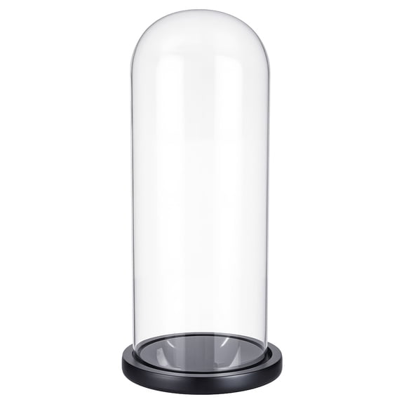 Clear Cloche Glass Dome with Base 12 Inch High Handmade Glass Cloche Collectibles Decorative Bell Jar