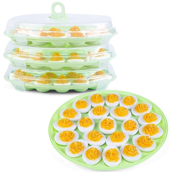 Clear Deviled Egg Carrier Tray with Snap Lid, Portable 22 Slot Deviled Egg Platter Holder for Holiday Parties, Picnic & Home Kitchen Food Storage