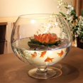 thumbnail image 1 of Clear Fish Tank Multi-function Goldfish Tank Transparent Betta Tank Office Supply, 1 of 7
