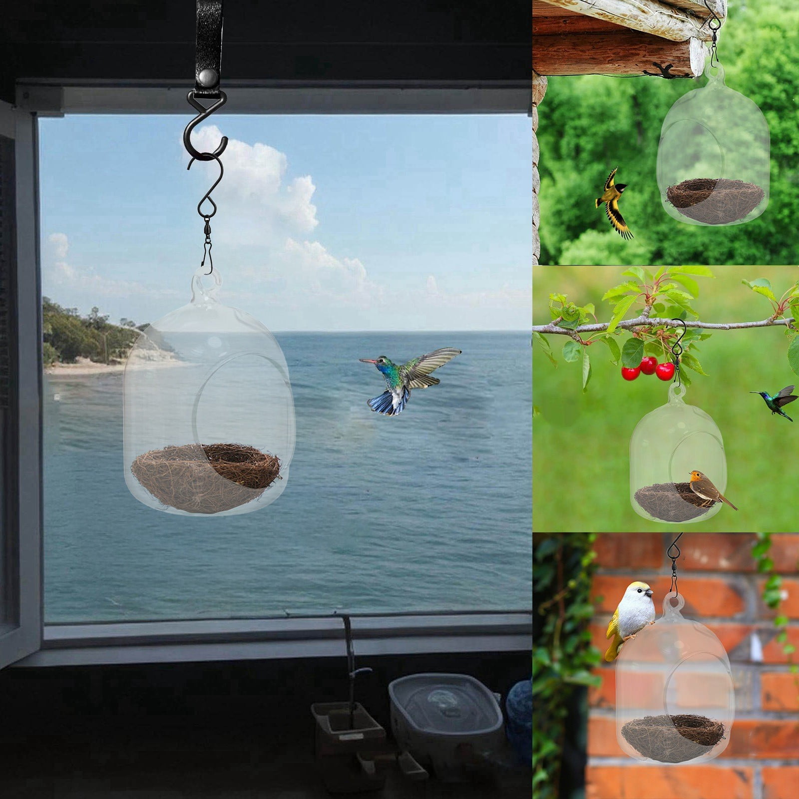 Picture of Clear Glass Bird for Outdoor Use Transparent Shelter for Wild Birds ...