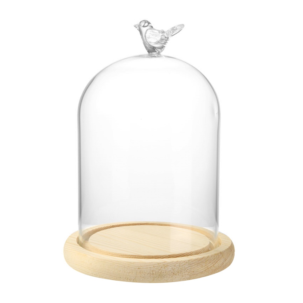 Clear Glass Cloche Bell Jar Display Case with Bird Handle Wooden Base