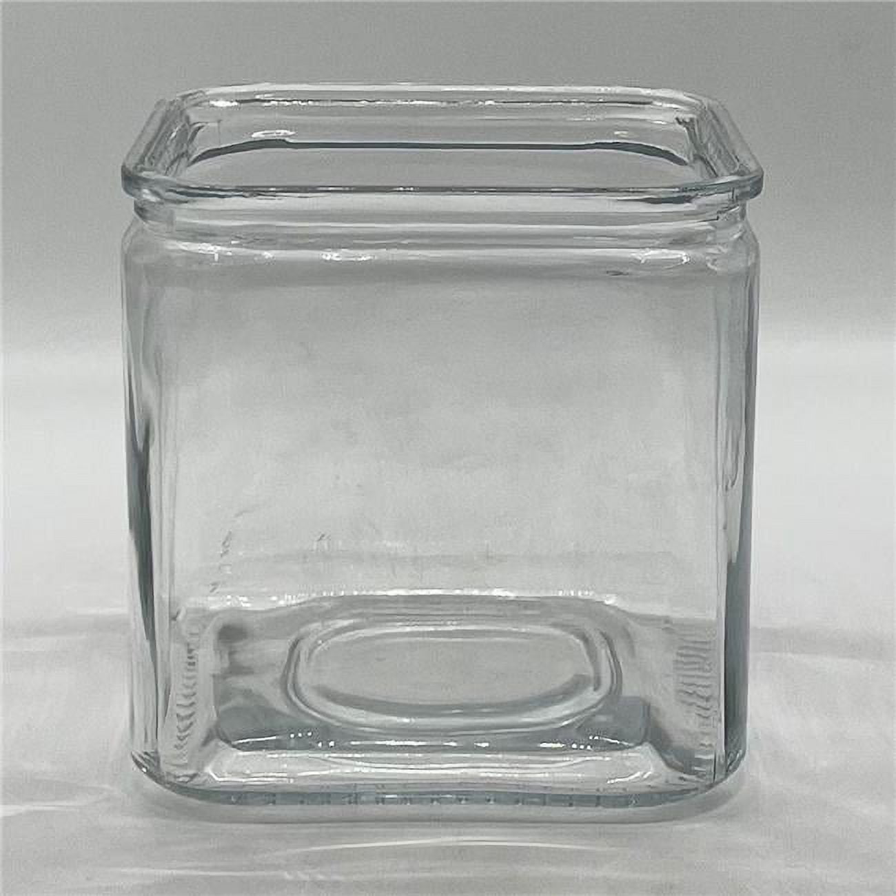 Clear Glass Cube Vase