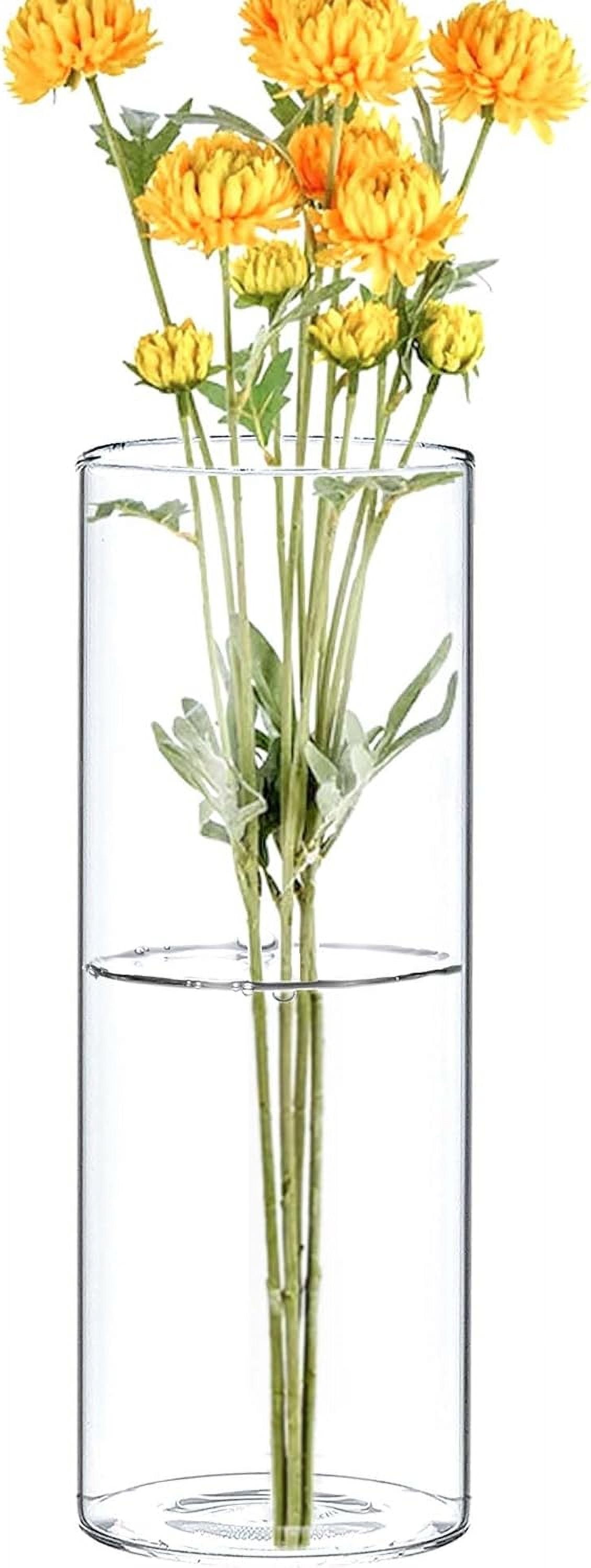 Clear Glass Cylinder Flower Vase (H8" D3") Hurricane Floating Candle