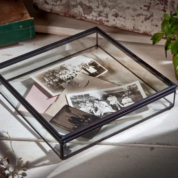 Clear Glass Display Case Decorative Keepsake