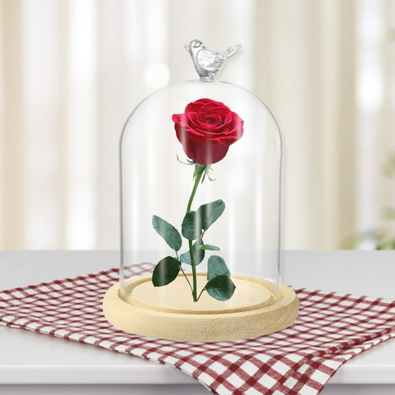 Clear Glass Dome Display Case Bird Handle Cloche with Wood Base Immortal Flower Glass Cover Large Size Office Home Decoration