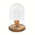 thumbnail image 1 of Clear Glass Dome Display with Wooden Base, 8-Inch, 1 of 1