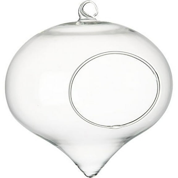 Clear Glass Hanging Terrarium, Air Plant Holder, Decorative Orb for Home, Garden, Wedding, and Event Decor, 4 Inches