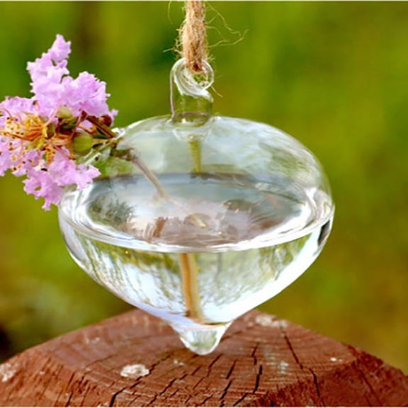 Clear Glass Hanging Terrarium Orb Air Plant Holder for Home Decor, Wedding Centerpieces, and DIY Crafts