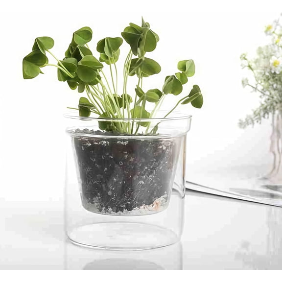 Clear Glass Hydroponic Vase, Double Layer Transplanter for Root Growth Watching, Home Office Desk Decorative Plant Pot for Orchids African Violets Succulents(DSF)
