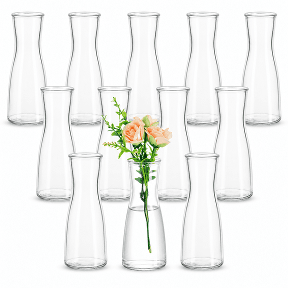 Clear Glass Mini Bud Vase Set of 12, Modern Minimalist Decor for Events and Home