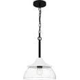 Clear Glass Pendant Ceiling Light Fixture, 1Light 100 Watt, 16" H x 12