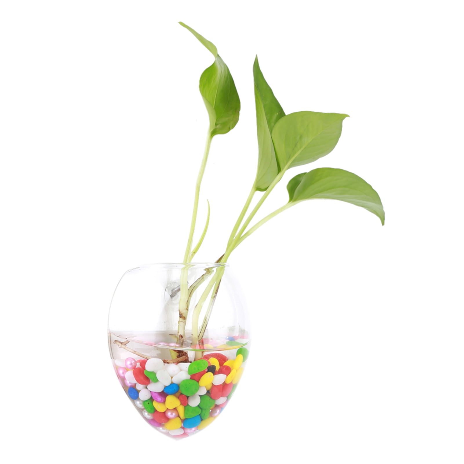 Clear Glass Vase, Hanging Wall Vases For Plants Indoor, Glass Plants