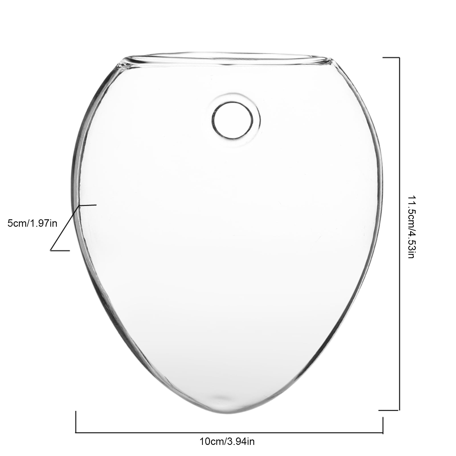 Clear Glass Vase, Hanging Wall Vases For Plants Indoor, Glass Plants