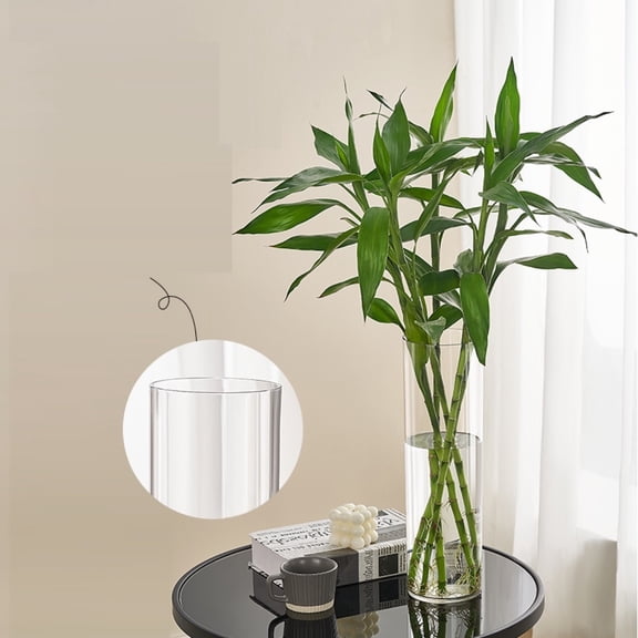 Glass Flower Vase, Glass Cylinder Vase 10X4 In, Vase for Flowers Water Cultivating Lucky Bamboo, Tall Clear Acrylic Break-Resistant Straight Vase, Clear Flower Arrangement Holder