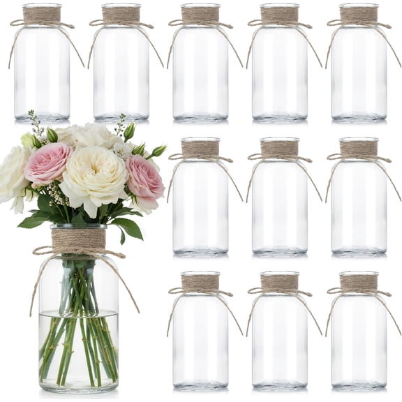 Clear Glass Vases 12 Pack for Centerpieces Rustic Farmhouse Boho Floral Arrangements Home Table Party Decor