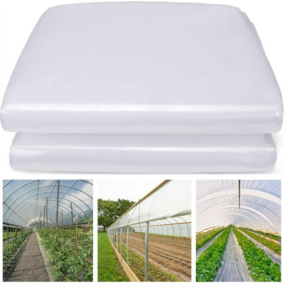 Clear Greenhouse Plastic Sheeting - 6 mil - 4 Year UV Resistant Polyethylene Greenhouse Film, Replacement Cover, Hoop House Green House Cover for Gardening, Farming (12' x 25')