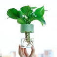 thumbnail image 1 of Clear Hydroponic Plant Pot for Indoor Plants, Transparent Plastic Flower Pot with Water Level Monitoring, Modern Planter A#007 Green, 1 of 5