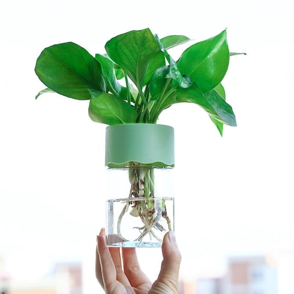 Clear Hydroponic Plant Pot for Indoor Plants, Transparent Plastic Flower Pot with Water Level Monitoring, Modern Planter A#007 Green