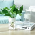 thumbnail image 1 of Clear Hydroponic Plant Pot for Indoor Plants, Transparent Plastic Flower Pot with Water Level Monitoring, Modern Planter A#008 White, 1 of 5