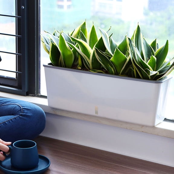 Clear Narrow Rectangular Planter for Balcony Garden and Windowsill with Space Saving Design for Container