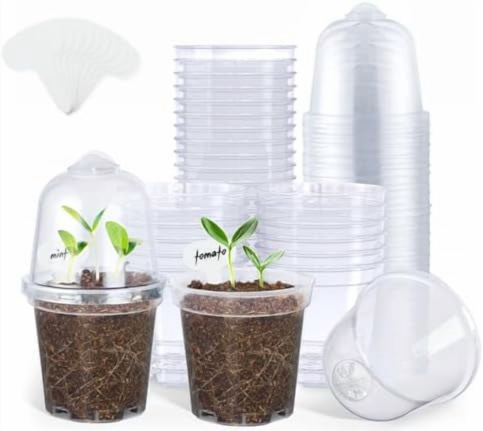 Slanting Pots Clear Nursery Pots for Plants,3 Inch Plant Pot for Planting with ...
