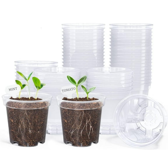 Clear Nursery Pots for Plants,3 Inch Plant Pot for Planting Plastic Seedling with Drainage Holes Seed Starter Flower High Transparency Excellent Hardness(30 Pack)