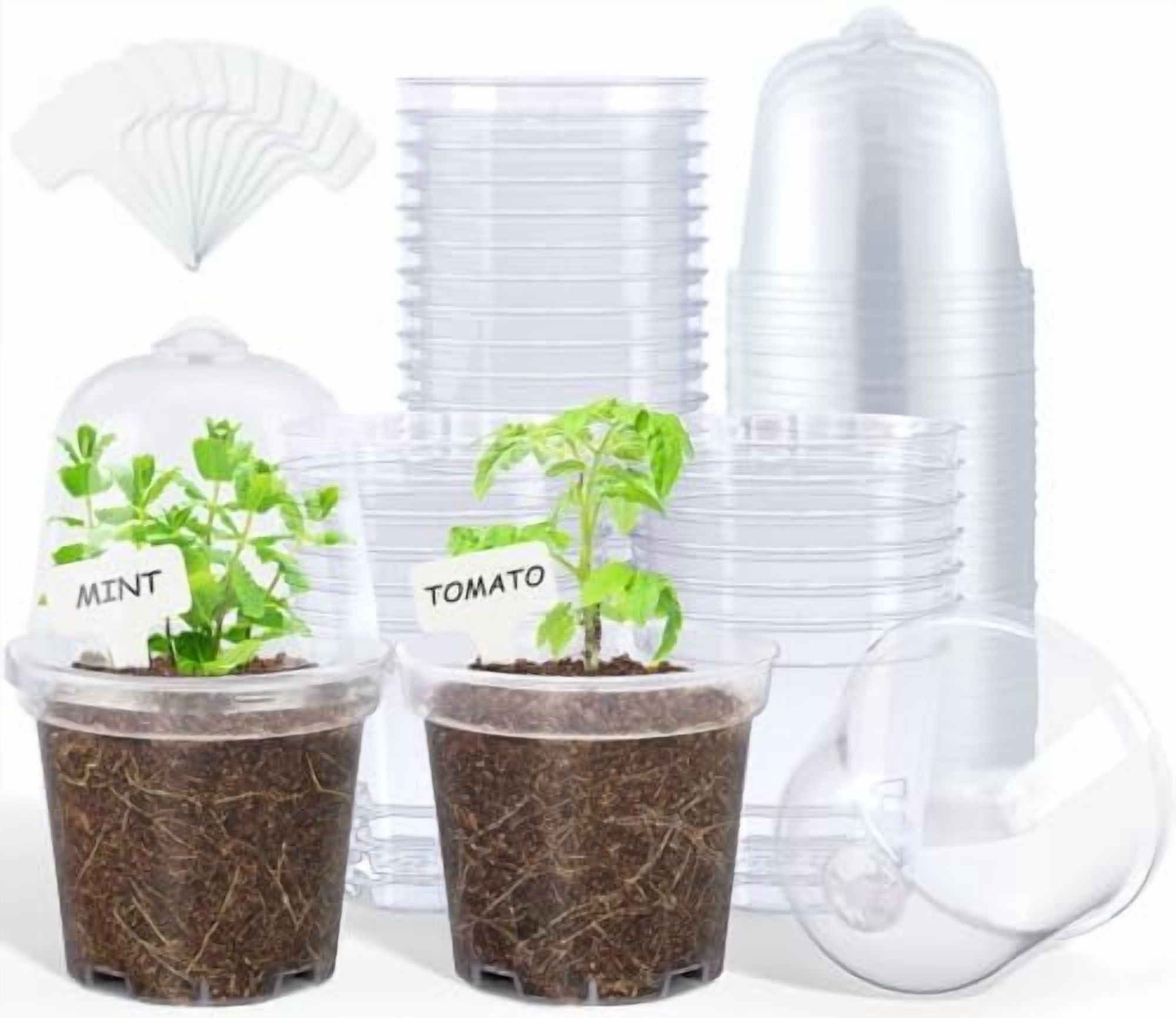 Clear Nursery Pots for Plants,4 Inch Plant Pot for Planting with ...