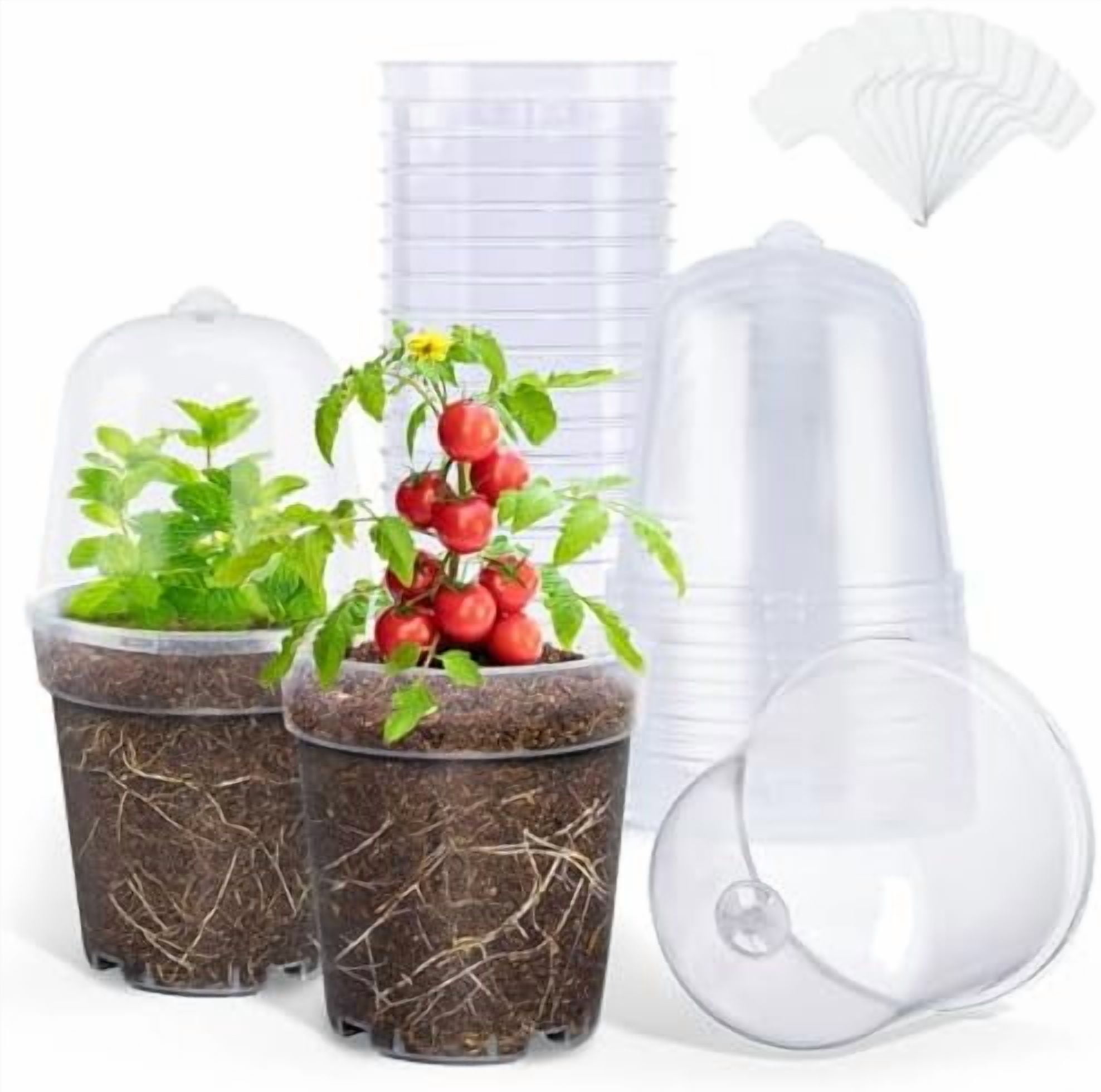 Clear Nursery Pots for Plants,5 Inch Plant Pot for Planting with ...