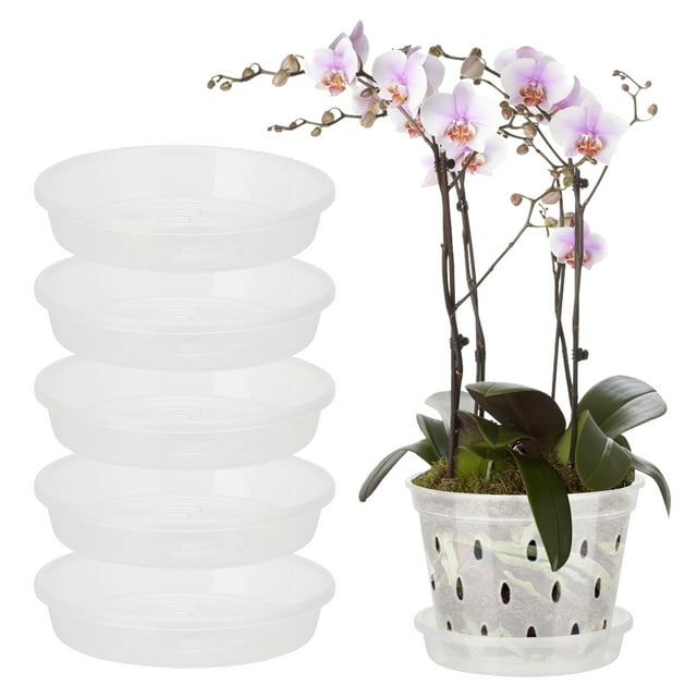 Clear Orchid Pots For Repotting,Indoor Planter With Drainage Holes And Saucer For Repotting