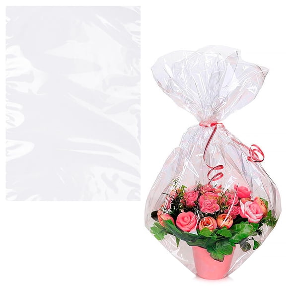 Clear Packing Bags, 2 Mil Poly Mailers with Open Top, 500 Count, 15 x 24 in
