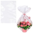 thumbnail image 1 of Clear Packing Bags, 2 Mil Poly Mailers with Open Top, 500 Count, 15 x 24 in, 1 of 6