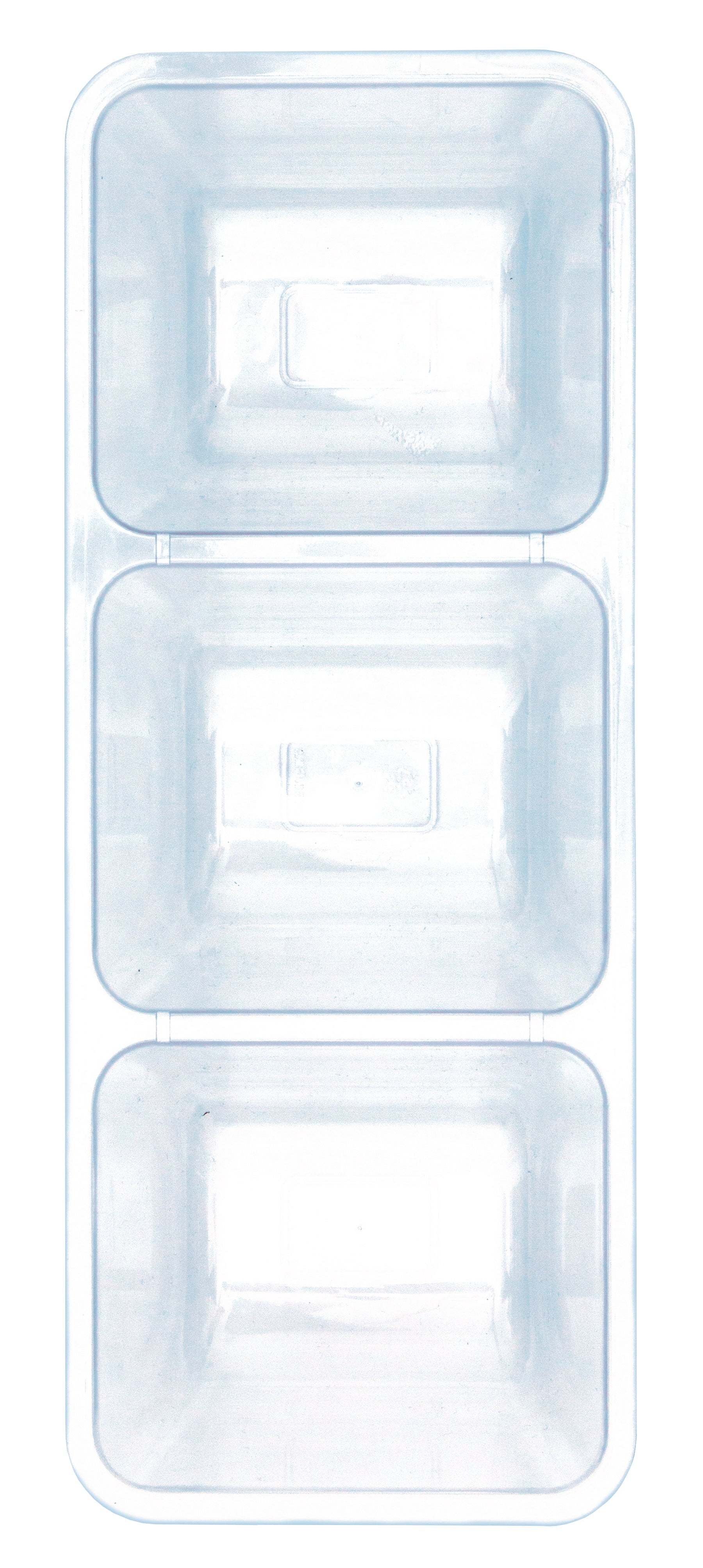 Clear Plastic 3 Sectioned Serving Tray