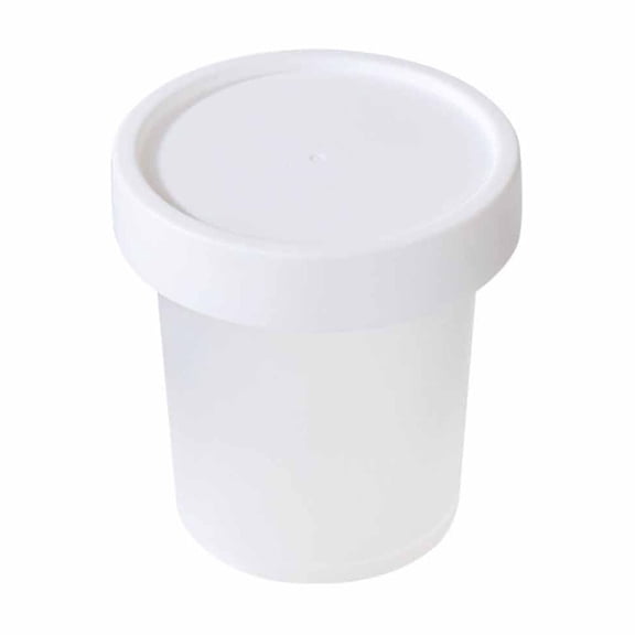 Clear Plastic Food Storage Cups | 4-Size Set of Leak-Proof Takeout Containers for Yogurt, Fruit & Desserts | BPA-Free 1-Pack | 3.03"-3.55" Sizes