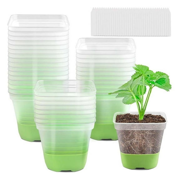 Clear Plastic Planting Pots for Indoor and Outdoor Plants - 6 or 12 Pack