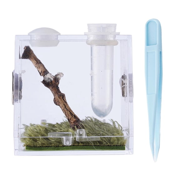 Clear Plastic Reptile Feeding Box, Small Insect Terrarium with Ventilation Holes for Spiders, Crickets, Tarantulas