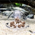 thumbnail image 1 of Clear Plastic Snail Trap for Aquarium Fish Tank Transparent Catch Holder with Adjustable Height for Aquatic Environments 3.1x1.6 in, 1 of 3