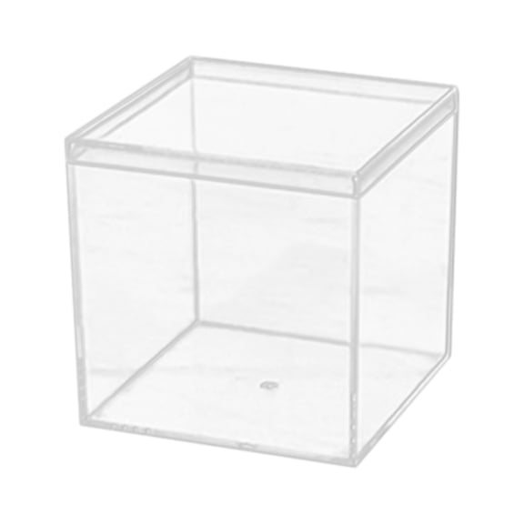 Clear Plastic Square Showcase for Collectibles, Transparent Acrylic Specimen Box, Small Gift Packaging, Desktop Storage Container for Tiny Parts and Jewelry Beads