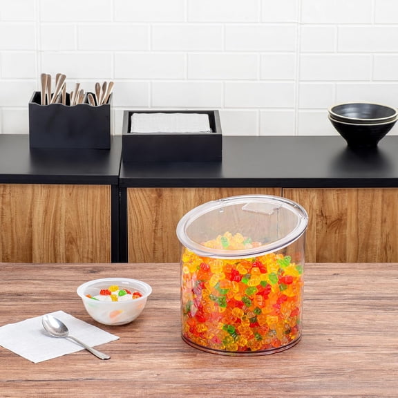 Clear Plastic Storage Jar with Hinged Lid, 2.64 Gallon Bulk Ingredient Container for Kitchen