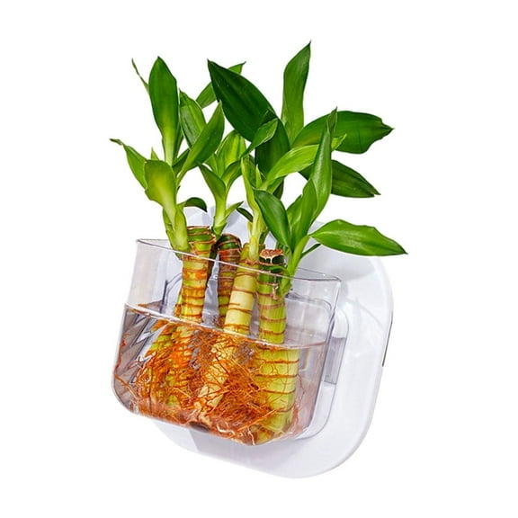 Clear Plastomer Wall Fish Bowl Hydroponic Wall Rack Aquariums Fish Tanks Living Room Wall Decoration