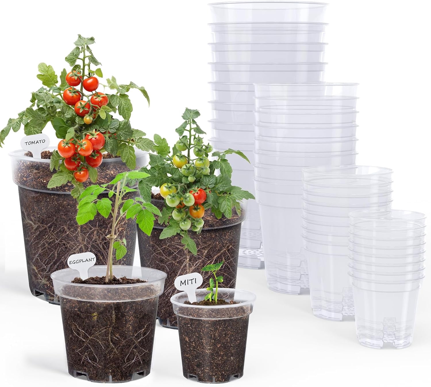 Clear Pots for ,3/4/5/6.7 Inch Pot for Planting Seedling Pots with ...