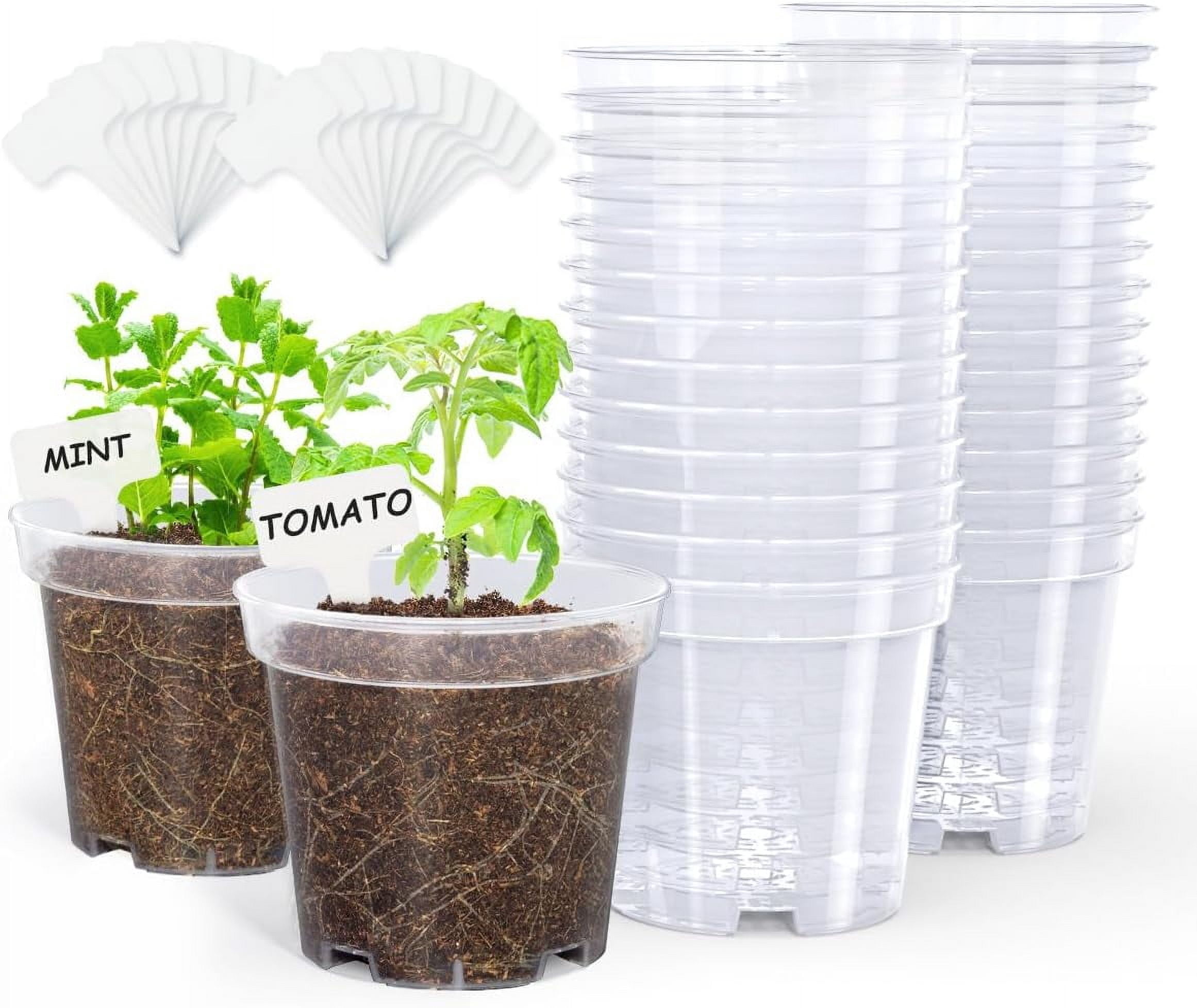 Slanting Pots Clear Pots for ,4 Inch Pot for Planting Seedling with Drainage Holes ...