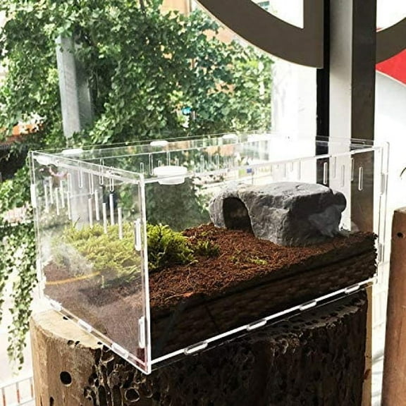 Clear Reptile Breeding Box,Small Acrylic Terrarium Full View Visually with Sliding Design Feeding Box
