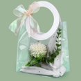 Clear Small Gift Bags with Ribbon, 7x8x4 inch, Pack of 1, PVC Reusable