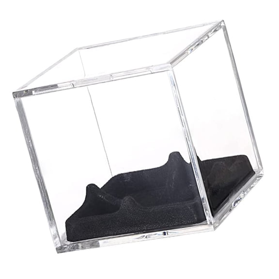 Clear Sports Baseball Holder Container with Stand Acrylic Cubes Baseball Storage Box Softball Square Clear Display Case