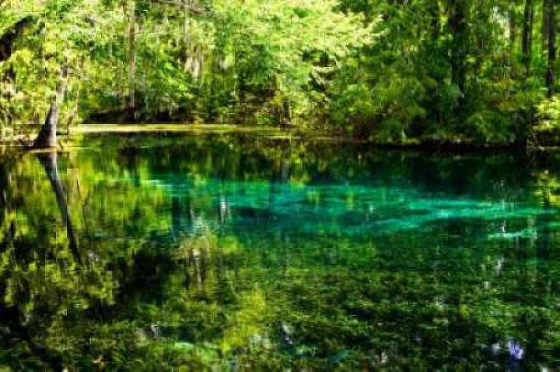Clear Spring Waters I Canvas Art - Alan Hausenflock (20 x 28)