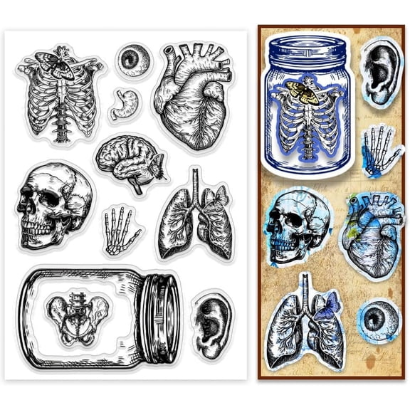 Clear Stamps Jar Organ Rubber Stamps Heart Eyeball Transparent Stamps Clear Scrapbooking Stamp for Helloween Card Making Decoration DIY Scrapbooking Album Diary Crafts